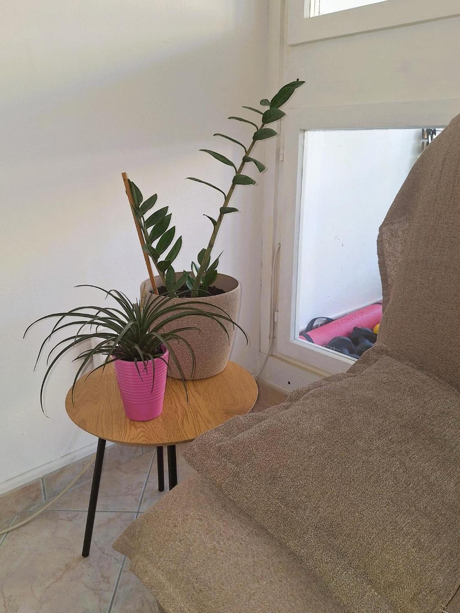 Apartment Mangus Split Luaran gambar